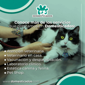 domesticados